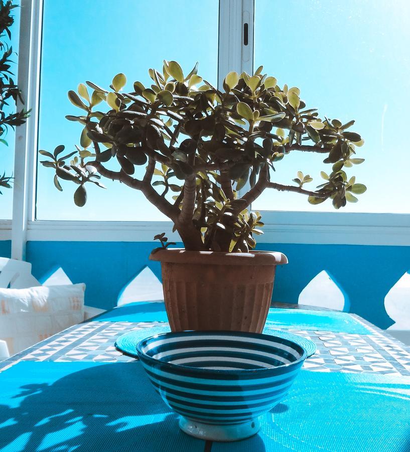 Surf & Yoga Paradise Morocco Tamraght Ngoại thất bức ảnh