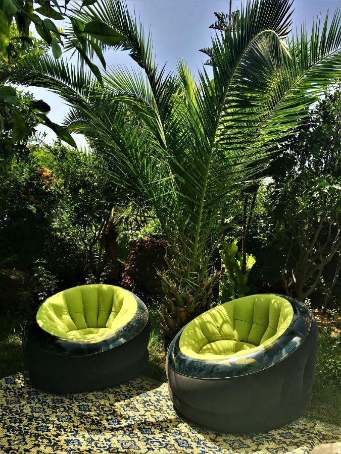 Surf & Yoga Paradise Morocco Tamraght Ngoại thất bức ảnh