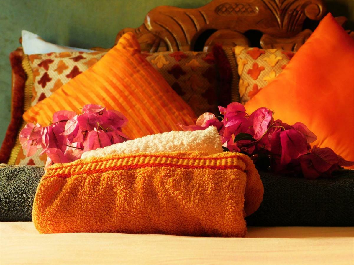 Surf & Yoga Paradise Morocco Tamraght Ngoại thất bức ảnh