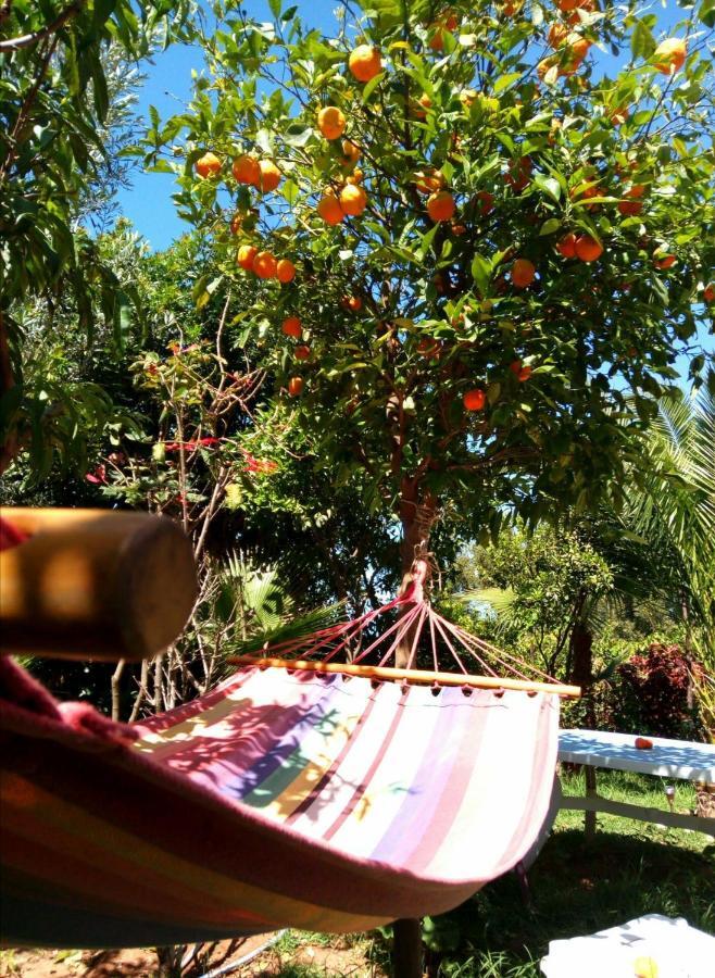 Surf & Yoga Paradise Morocco Tamraght Ngoại thất bức ảnh